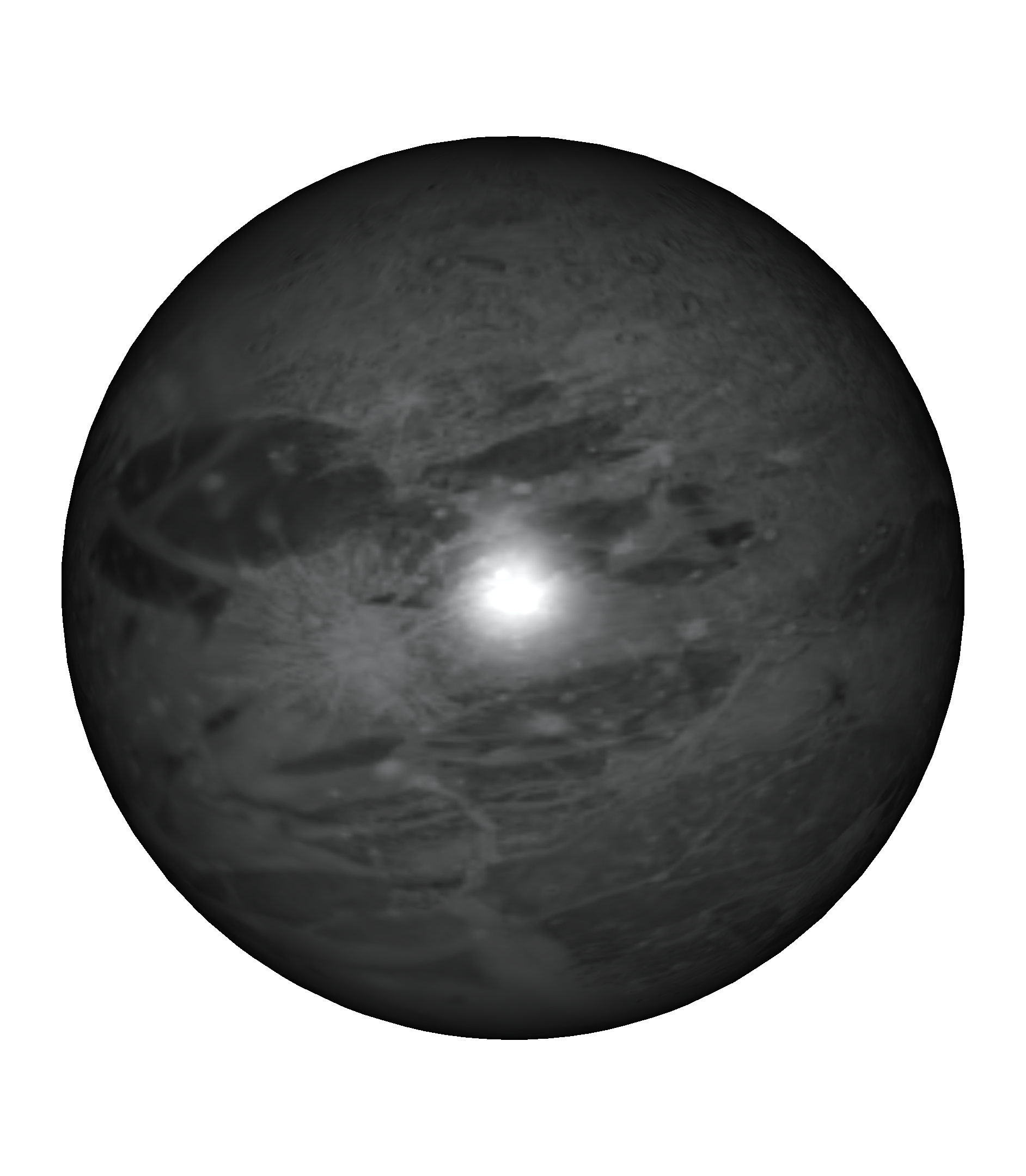 49054077