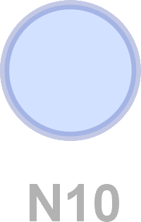 N10