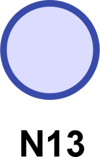 N13